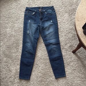 1822 Denim Skinny Jeans